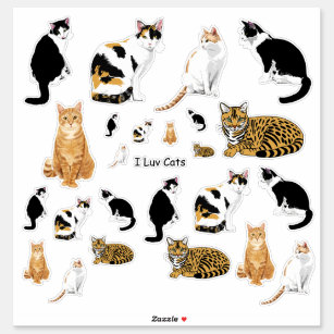 Assortiment Schattigee Katten LG Sticker Set