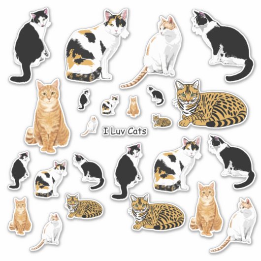 Assortiment Schattigee Katten LG Sticker Set (Voorkant)