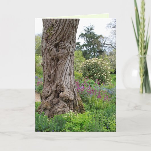 Asstructuur gestructureerde barstpatronen Hidcote  Kaart (Voorkant)