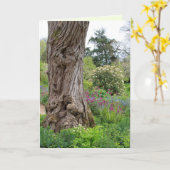 Asstructuur gestructureerde barstpatronen Hidcote  Kaart (Gele Bloem)