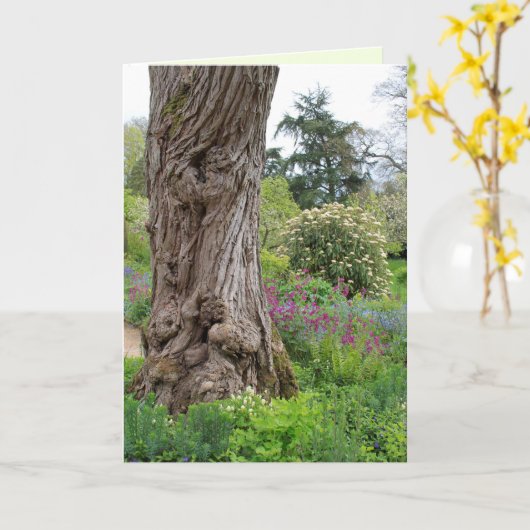 Asstructuur gestructureerde barstpatronen Hidcote  Kaart (Gele Bloem)