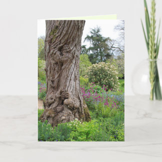 Asstructuur gestructureerde barstpatronen Hidcote Kaart
