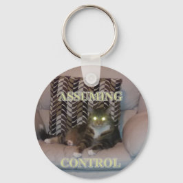 Assuming Control cat keychain