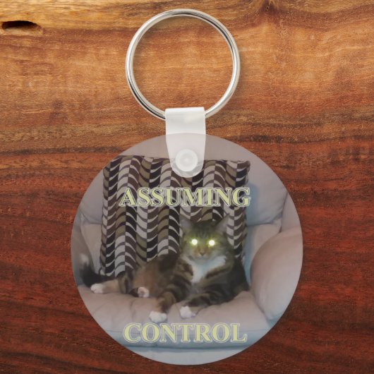 Assuming Control cat keychain (Achterkant)