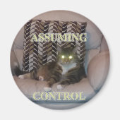 Assuming Control cat magnet (Voorkant)