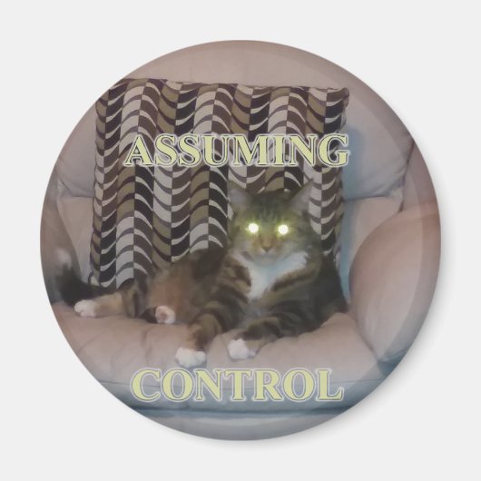 Assuming Control cat magnet (Voorkant)
