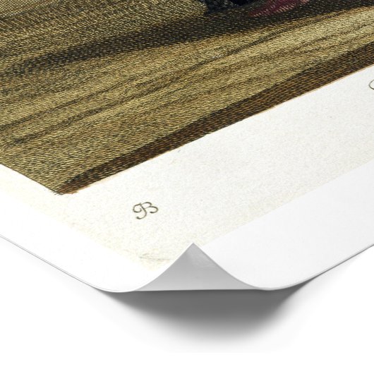 Ast-chi-Bachi, Cook en officier van de Janissaries Poster (Hoek)