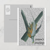 Astelia Nervosa Briefkaart (Voorkant / Achterkant)