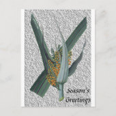 Astelia Nervosa Briefkaart (Voorkant)