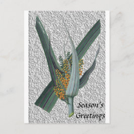 Astelia Nervosa Briefkaart