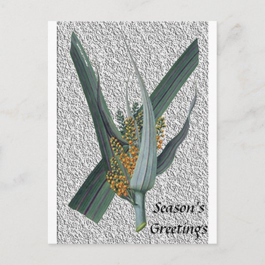 Astelia Nervosa Briefkaart (Voorkant)