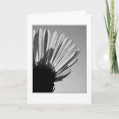 ASTER: A Die Herfsten. . . Kaart (Voorkant)