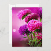Aster Autumn Flowers Art Design Briefkaart (Voorkant / Achterkant)
