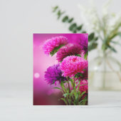 Aster Autumn Flowers Art Design Briefkaart (Staand voorkant)