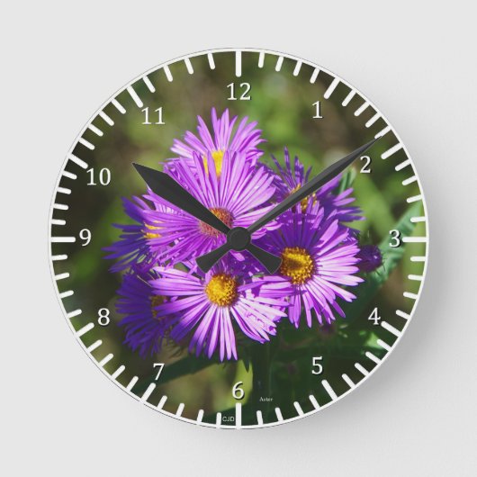 Aster Clock Ronde Klok (Voorkant)