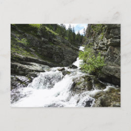 Aster Creek in Glacier National Park Briefkaart