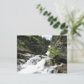 Aster Creek in Glacier National Park Briefkaart (Staand voorkant)