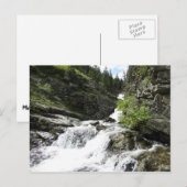 Aster Creek in Glacier National Park Briefkaart (Voorkant / Achterkant)