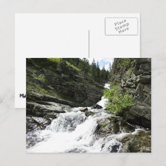 Aster Creek in Glacier National Park Briefkaart (Voorkant / Achterkant)