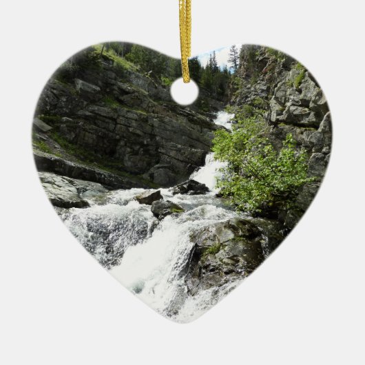 Aster Creek in Glacier National Park Keramisch Ornament (Voorkant)