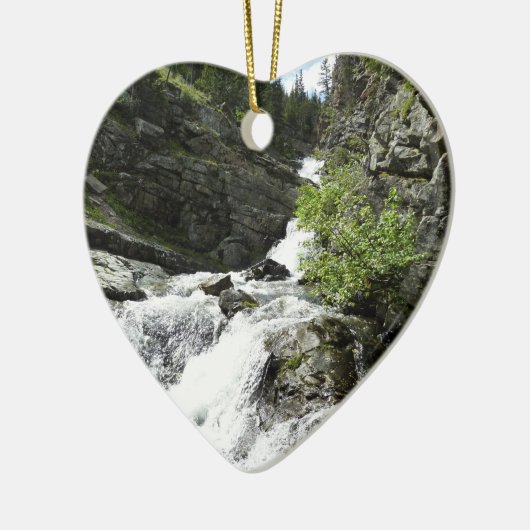 Aster Creek in Glacier National Park Keramisch Ornament (Links)