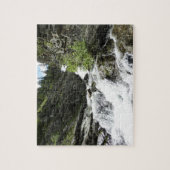 Aster Creek in Glacier National Park Legpuzzel (Verticaal)