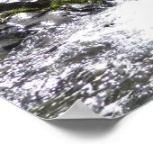 Aster Creek in Glacier National Park Poster (Hoek)