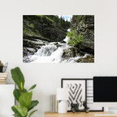 Aster Creek in Glacier National Park Poster (Thuiskantoor)