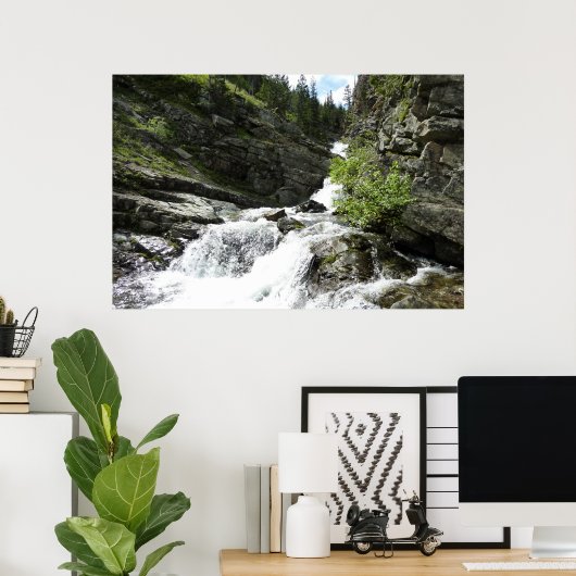 Aster Creek in Glacier National Park Poster (Thuiskantoor)