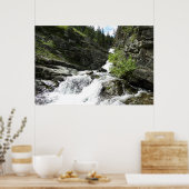Aster Creek in Glacier National Park Poster (Keuken)