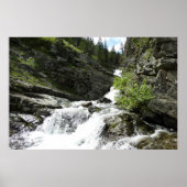 Aster Creek in Glacier National Park Poster (Voorkant)
