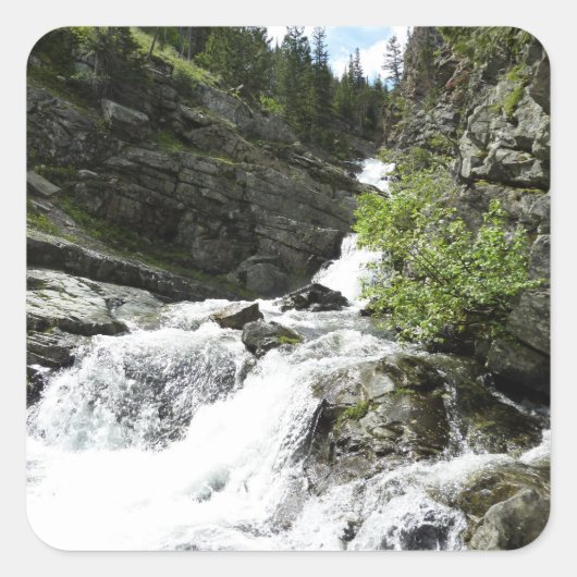 Aster Creek in Glacier National Park Vierkante Sticker (Voorkant)
