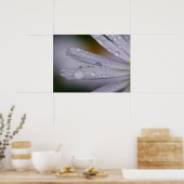 Aster Flower Poster (Keuken)