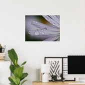 Aster Flower Poster (Thuiskantoor)