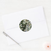 ASTER FLOWERS RONDE STICKER (Envelop)