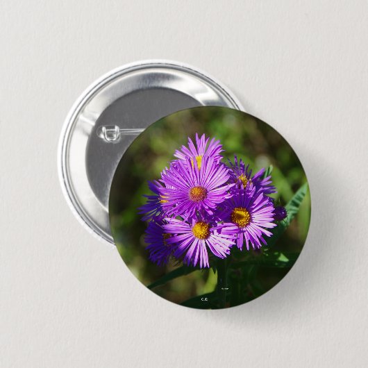 Aster-knop Ronde Button 5,7 Cm (Voorkant /achterkant)