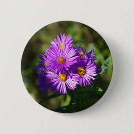 Aster-knop Ronde Button 5,7 Cm