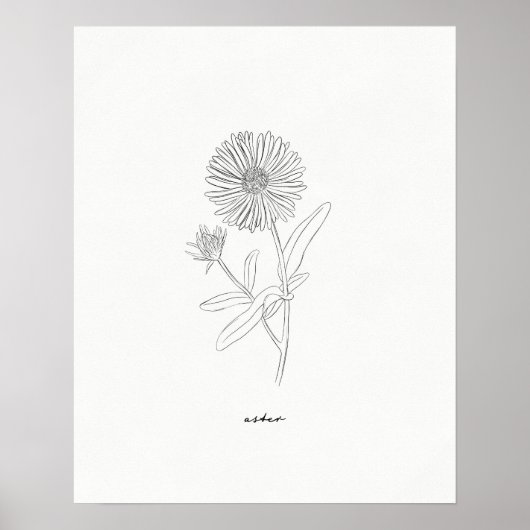 Aster Line Drawing Print - handgetekende inktbloem (Voorkant)