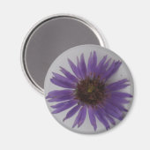 Aster Magneet (Voorkant / Achterkant)