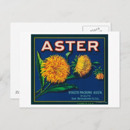 Aster-merk Citrus-kratenetiket Briefkaart (Voorkant / Achterkant)