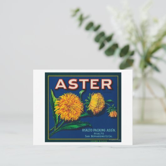 Aster-merk Citrus-kratenetiket Briefkaart (Staand voorkant)