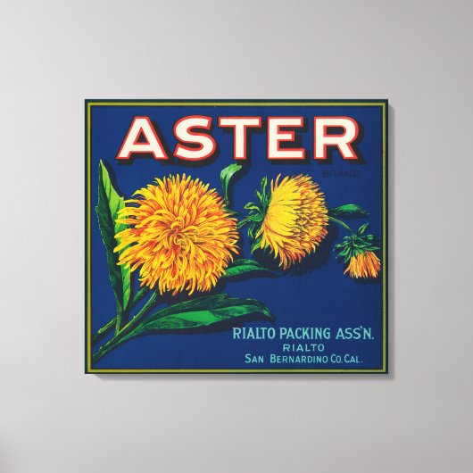 Aster-merk Citrus-kratenetiket Canvas Afdruk (Voorkant)