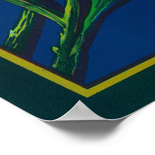 Aster-merk Citrus-kratenetiket Poster (Hoek)