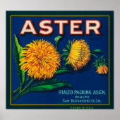 Aster-merk Citrus-kratenetiket Poster (Voorkant)