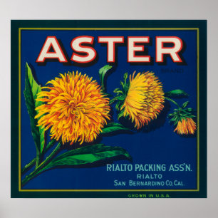 Aster-merk Citrus-kratenetiket Poster