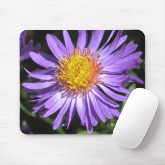 Aster Mousepad Muismat (Met muis)