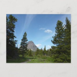 Aster Park Trail in Glacier National Park Briefkaart