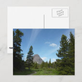 Aster Park Trail in Glacier National Park Briefkaart (Voorkant / Achterkant)