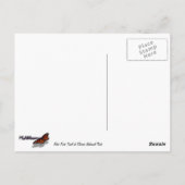 Aster Park Trail in Glacier National Park Briefkaart (Achterkant)