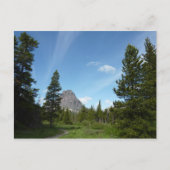 Aster Park Trail in Glacier National Park Briefkaart (Voorkant)